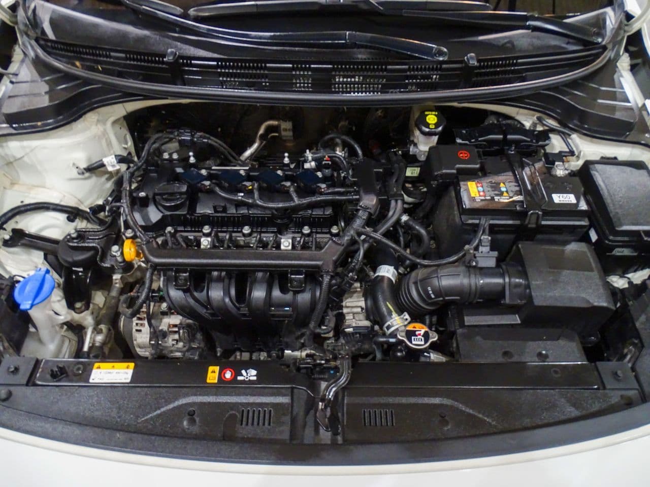 Kia Rio - Imagen 1