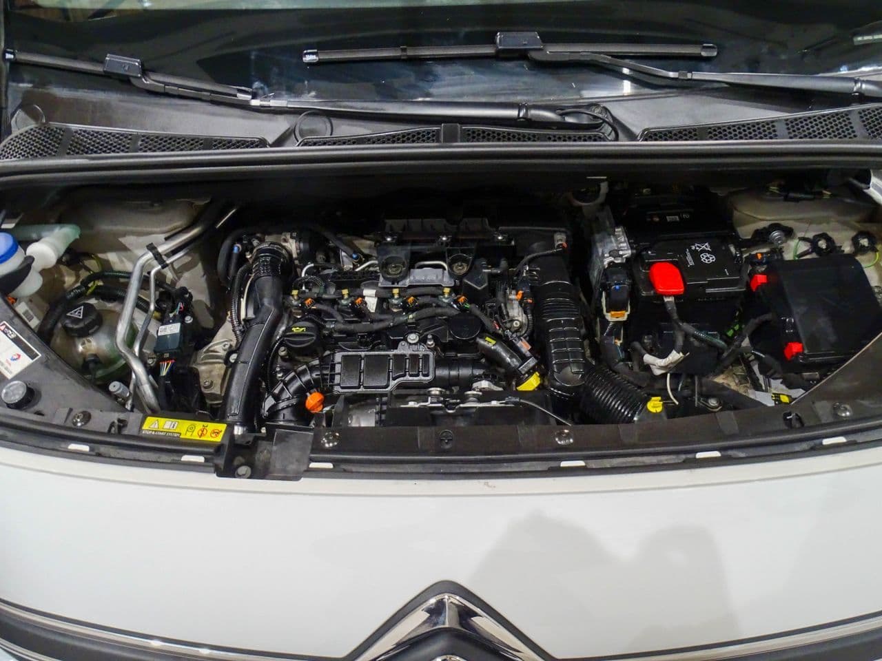 Citroën Berlingo - Imagen 1