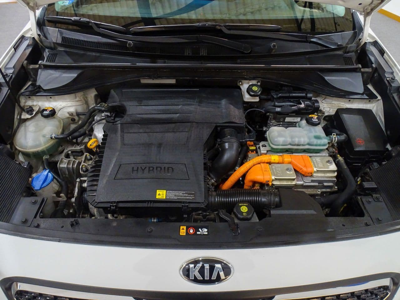 Kia Niro - Imagen 1