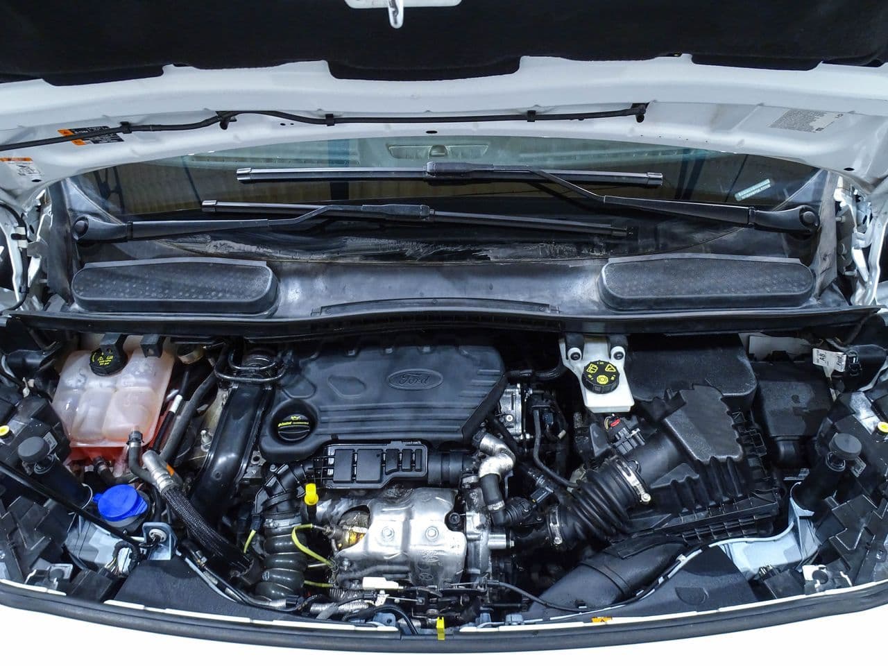 Ford Transit Connect - Imagen 1